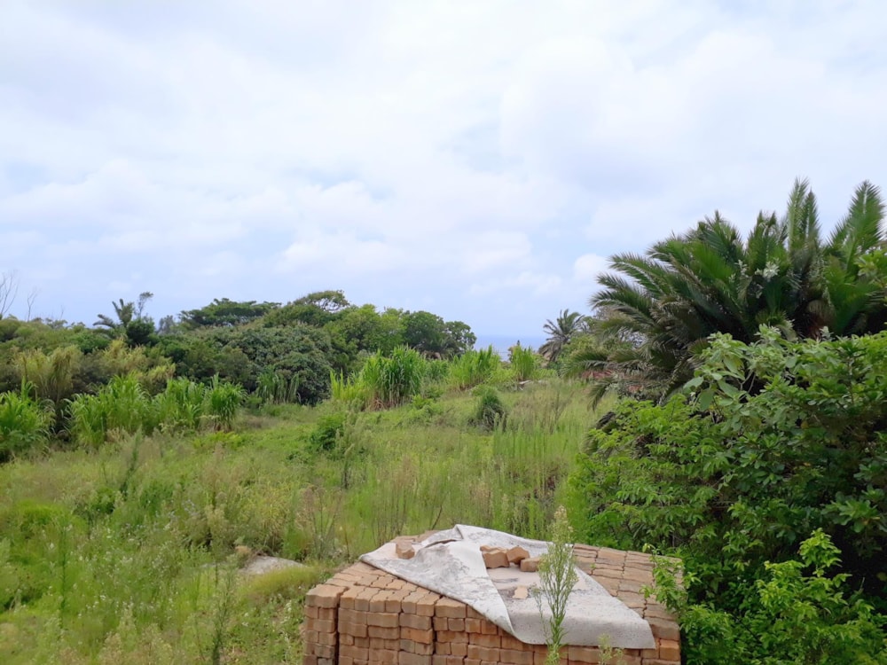 Residential vacant land for sale in Port Edward - 1PD1416840 Residential vacant land for sale in Port Edward - 1PD1416840