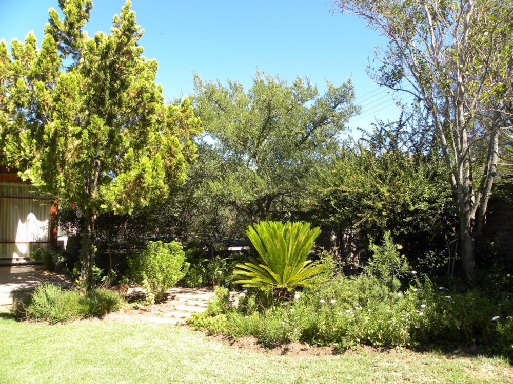 House for sale in Somerset East - 1KK1418255