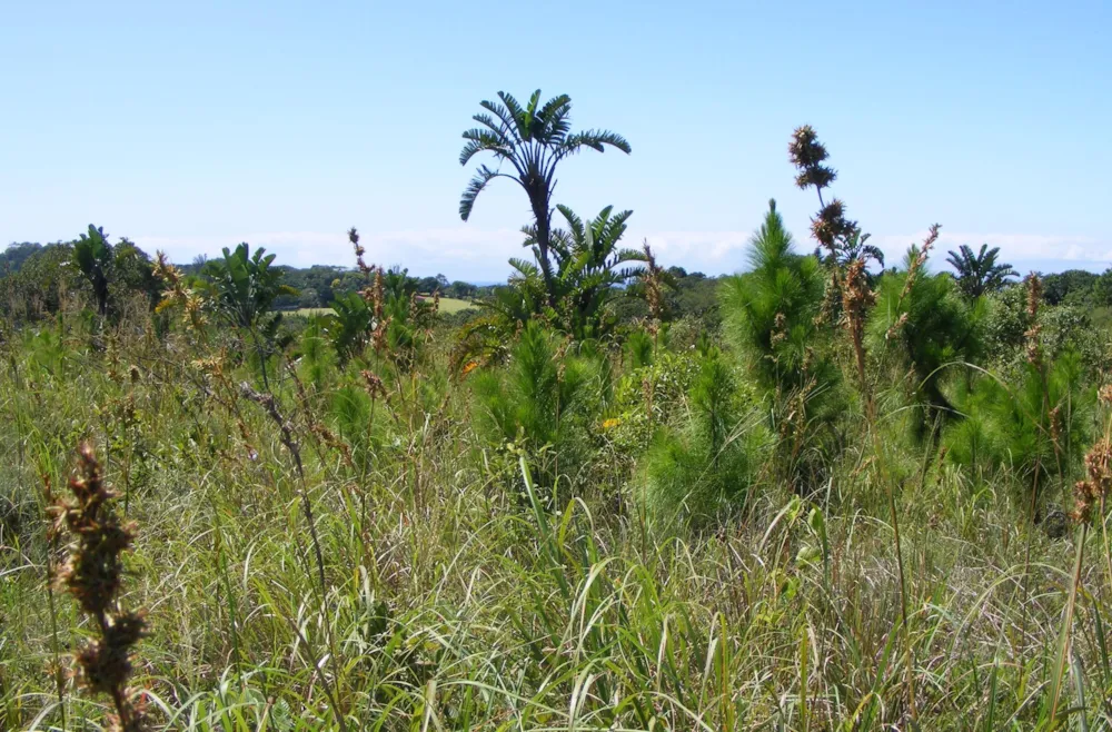 Residential vacant land for sale in Leisure Bay - 1PD1424079