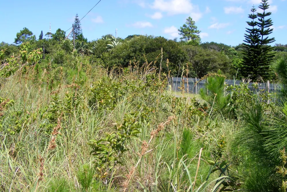 Residential vacant land for sale in Leisure Bay - 1PD1424079