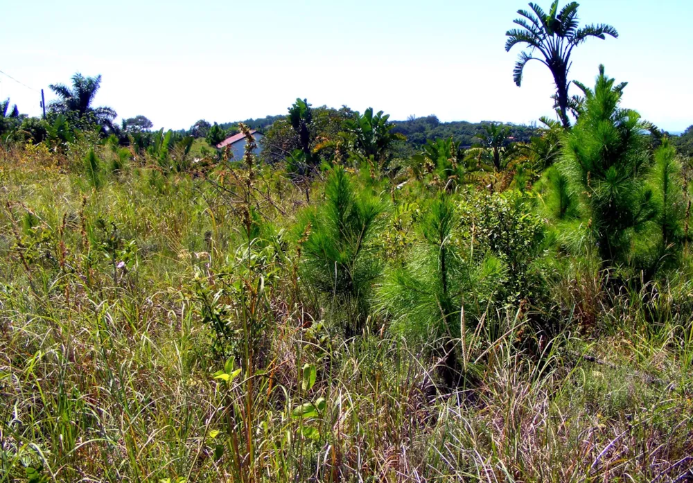 Residential vacant land for sale in Leisure Bay - 1PD1424079
