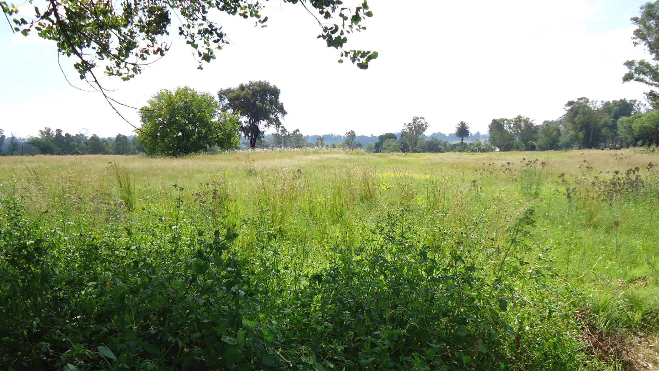 Farm vacant land for sale in Brakpan Central - 1BJ1591956