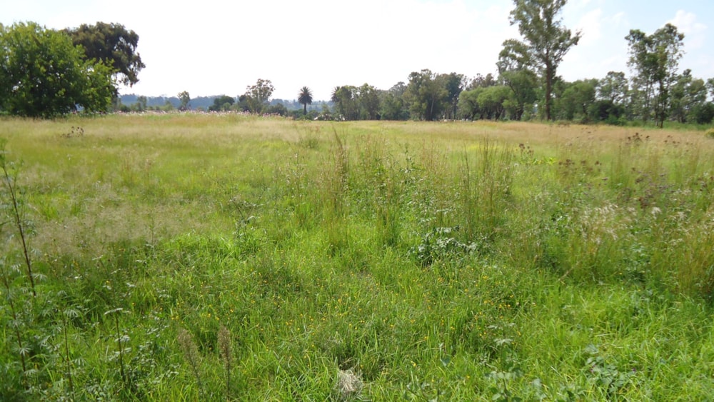 Farm vacant land for sale in Brakpan Central - 1BJ1591956