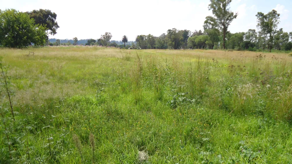 Farm vacant land for sale in Brakpan Central - 1BJ1591956 Farm vacant land for sale in Brakpan Central - 1BJ1591956