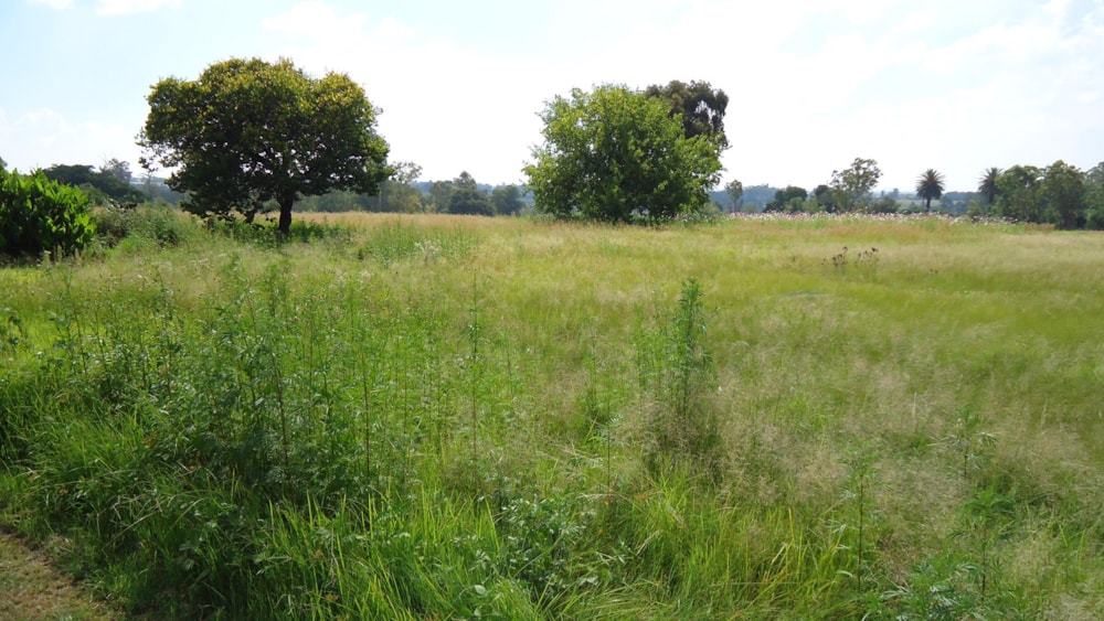 Farm vacant land for sale in Brakpan Central - 1BJ1591956