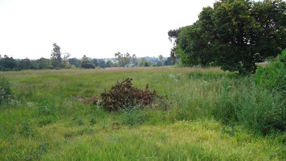 Farm vacant land for sale in Brakpan Central - 1BJ1591956