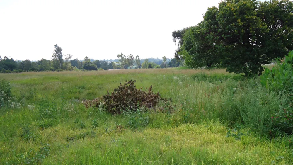 Farm vacant land for sale in Brakpan Central - 1BJ1591956 Farm vacant land for sale in Brakpan Central - 1BJ1591956