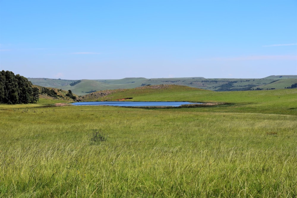 Mixed use farm for sale in Ermelo - 1EM1463976