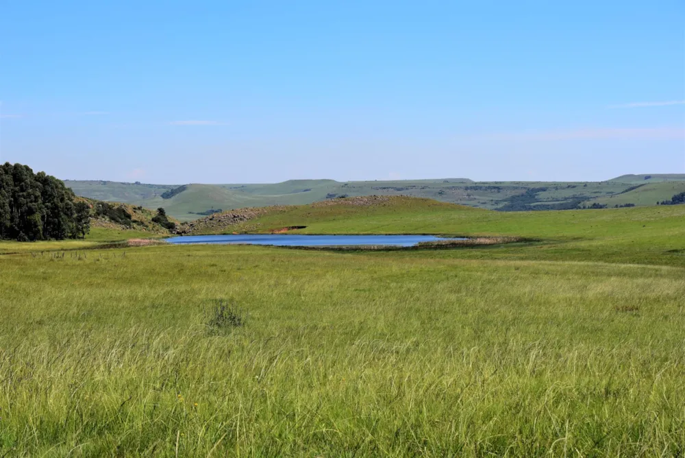 Mixed use farm for sale in Ermelo - 1EM1463976 Mixed use farm for sale in Ermelo - 1EM1463976
