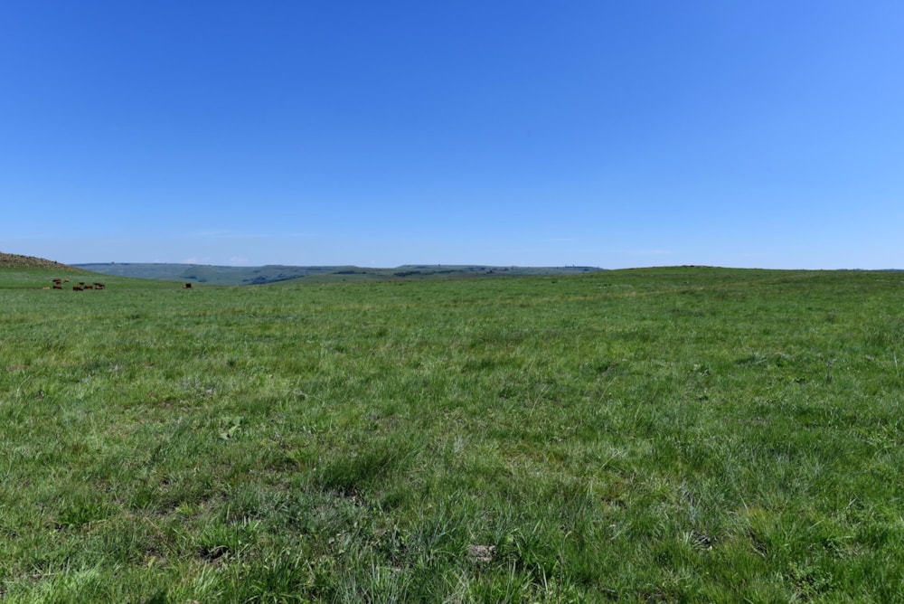 Mixed use farm for sale in Ermelo - 1EM1463976