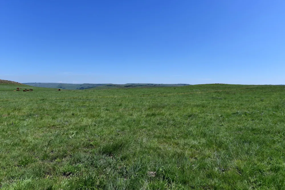 Mixed use farm for sale in Ermelo - 1EM1463976 Mixed use farm for sale in Ermelo - 1EM1463976