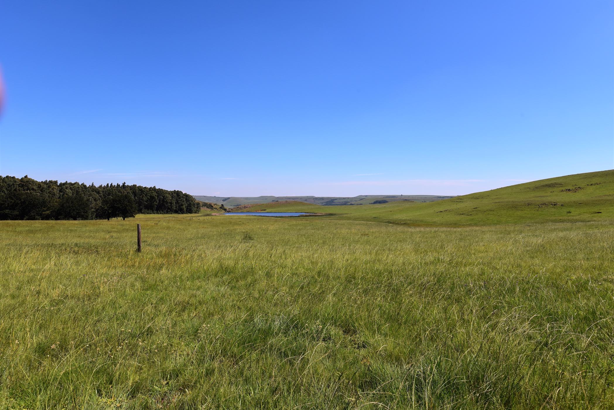 Mixed use farm for sale in Ermelo - 1EM1463976