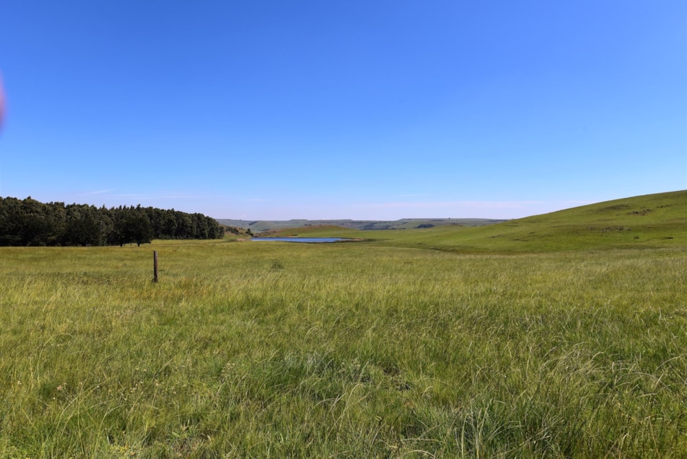 Mixed use farm for sale in Ermelo - 1EM1463976