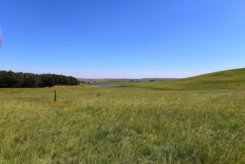 Mixed use farm for sale in Ermelo - 1EM1463976 Mixed use farm for sale in Ermelo - 1EM1463976