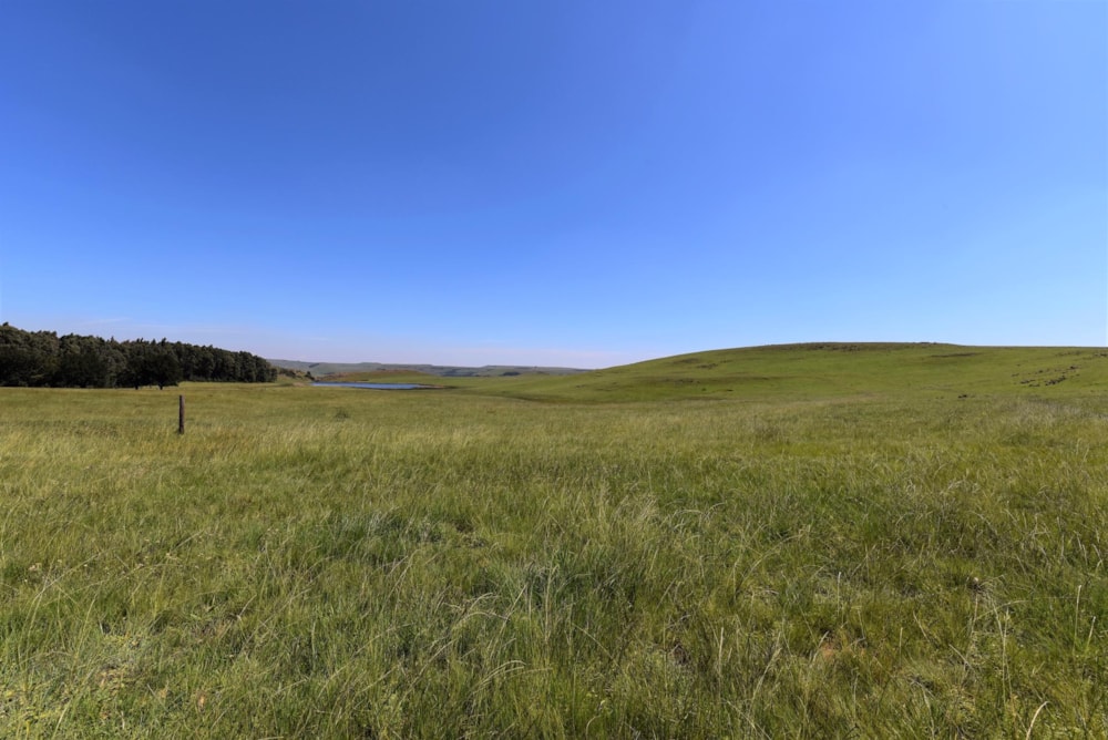 Mixed use farm for sale in Ermelo - 1EM1463976