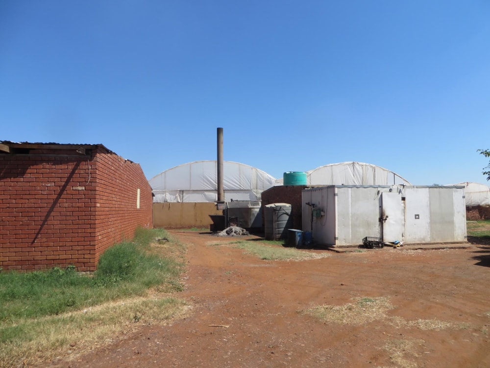 Mixed use farm for sale in Zoutpansdrift - 1HR1428100