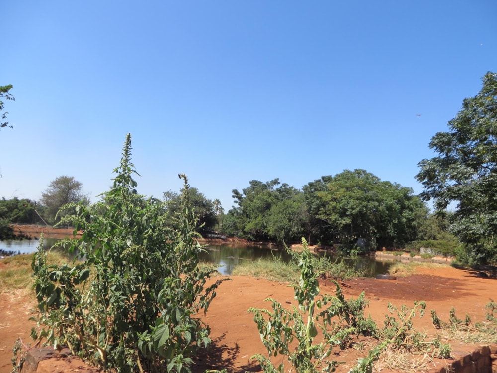 Mixed use farm for sale in Zoutpansdrift - 1HR1428100