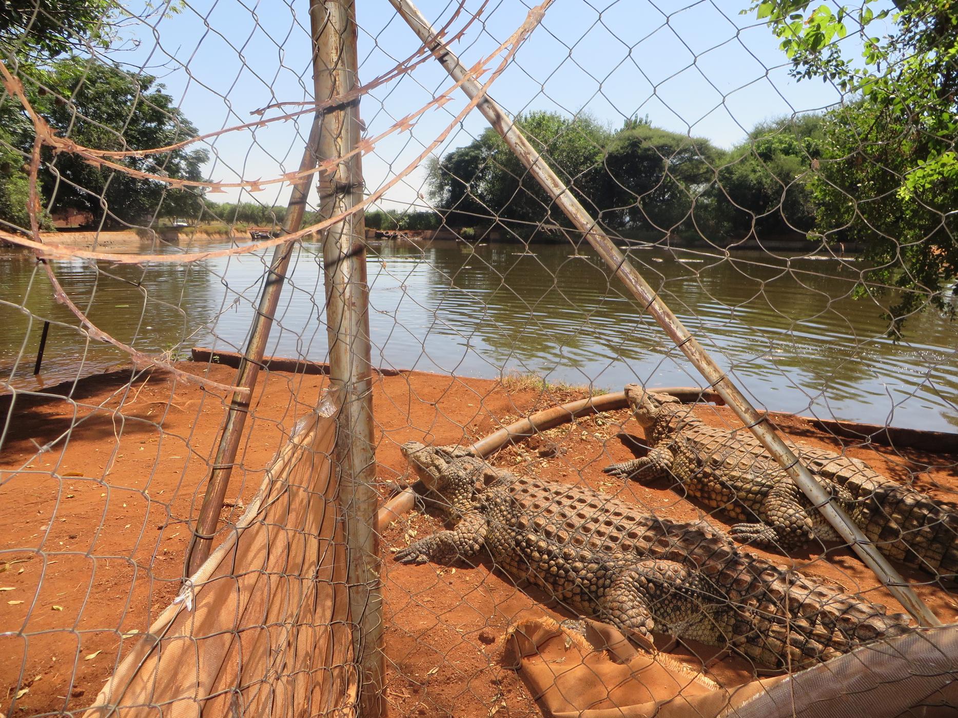 Mixed use farm for sale in Zoutpansdrift - 1HR1428100