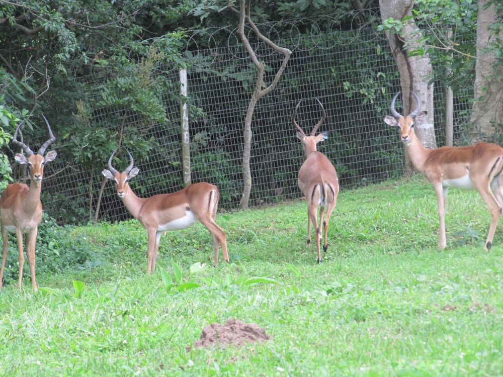 Vacant land for sale in Pennington - 1si1001022