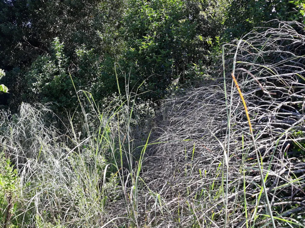 Vacant land for sale in Graskop - 1LY465193 Vacant land for sale in Graskop - 1LY465193