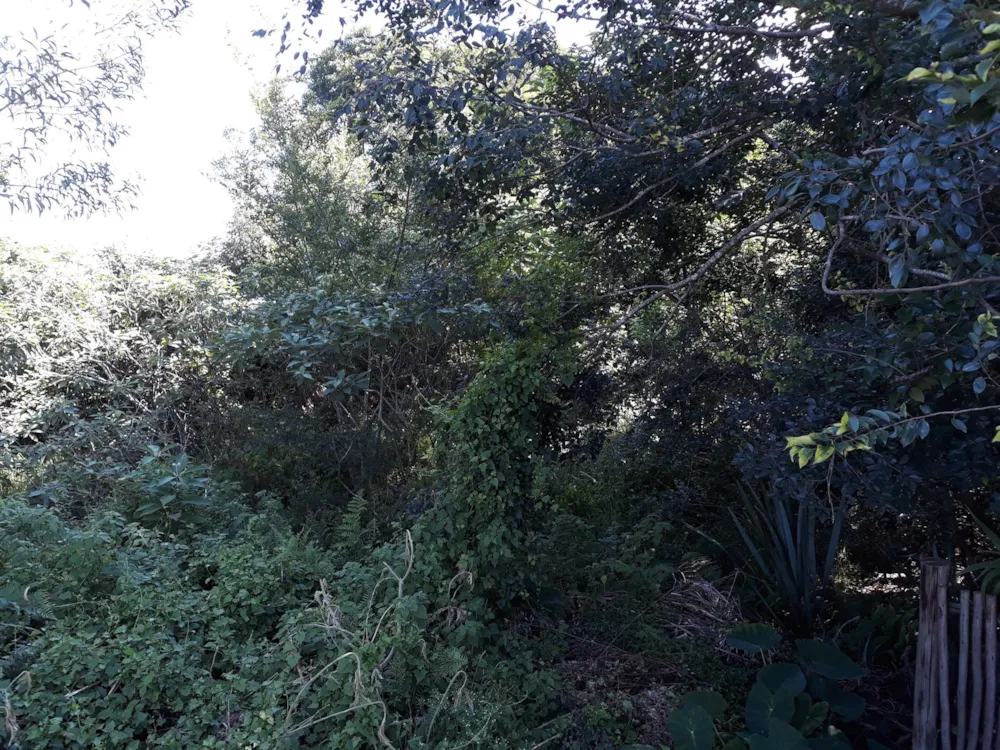 Vacant land for sale in Graskop - 1LY465193 Vacant land for sale in Graskop - 1LY465193