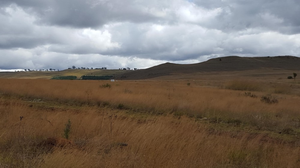 Vacant land for sale in Dullstroom - 1DS1732675