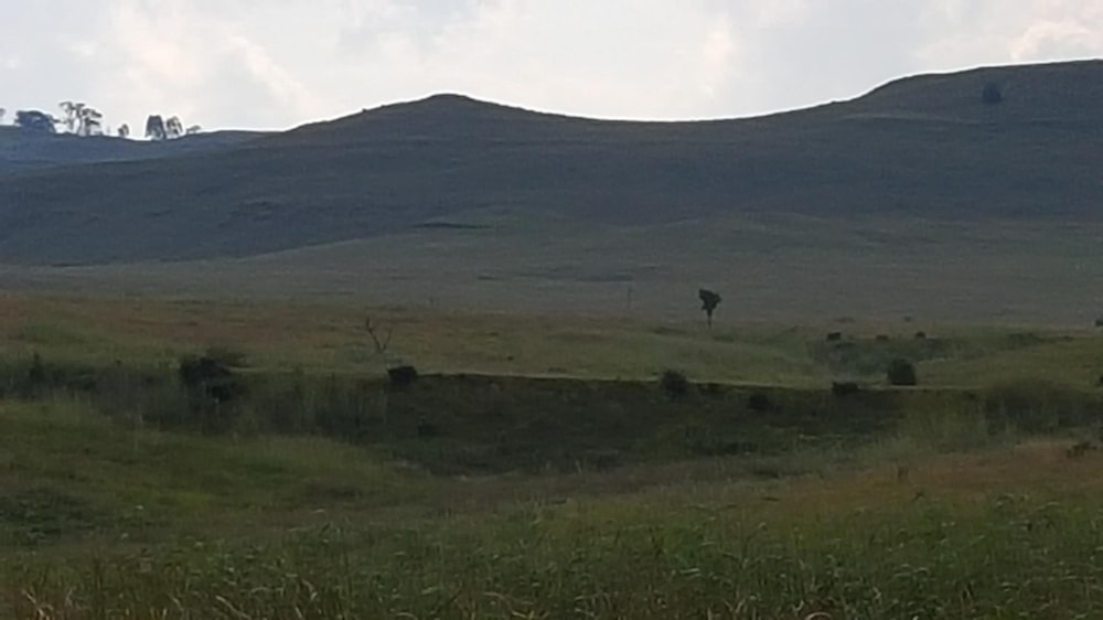 Vacant land for sale in Dullstroom - 1DS1732675