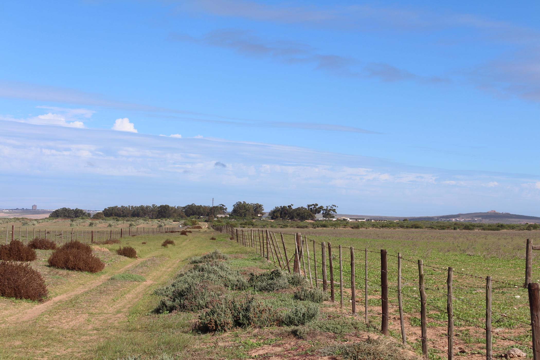 Mixed use farm for sale in Vredenburg - LA1742504