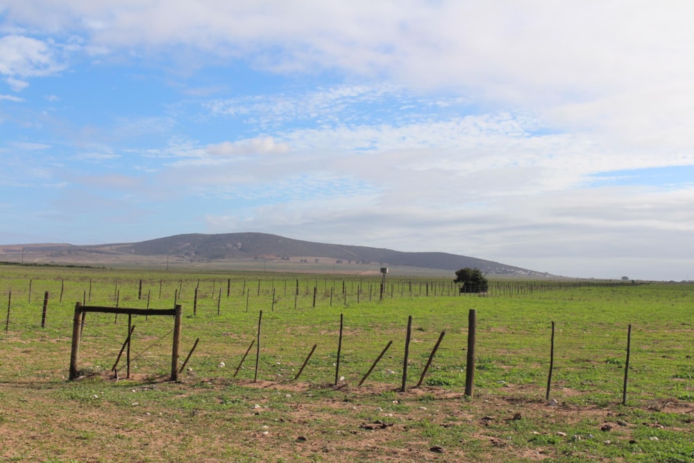 Mixed use farm for sale in Vredenburg - LA1742504
