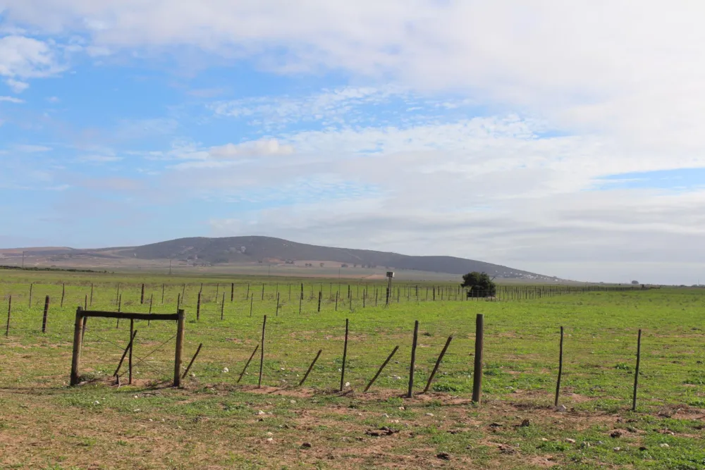 Mixed use farm for sale in Vredenburg - LA1742504 Mixed use farm for sale in Vredenburg - LA1742504