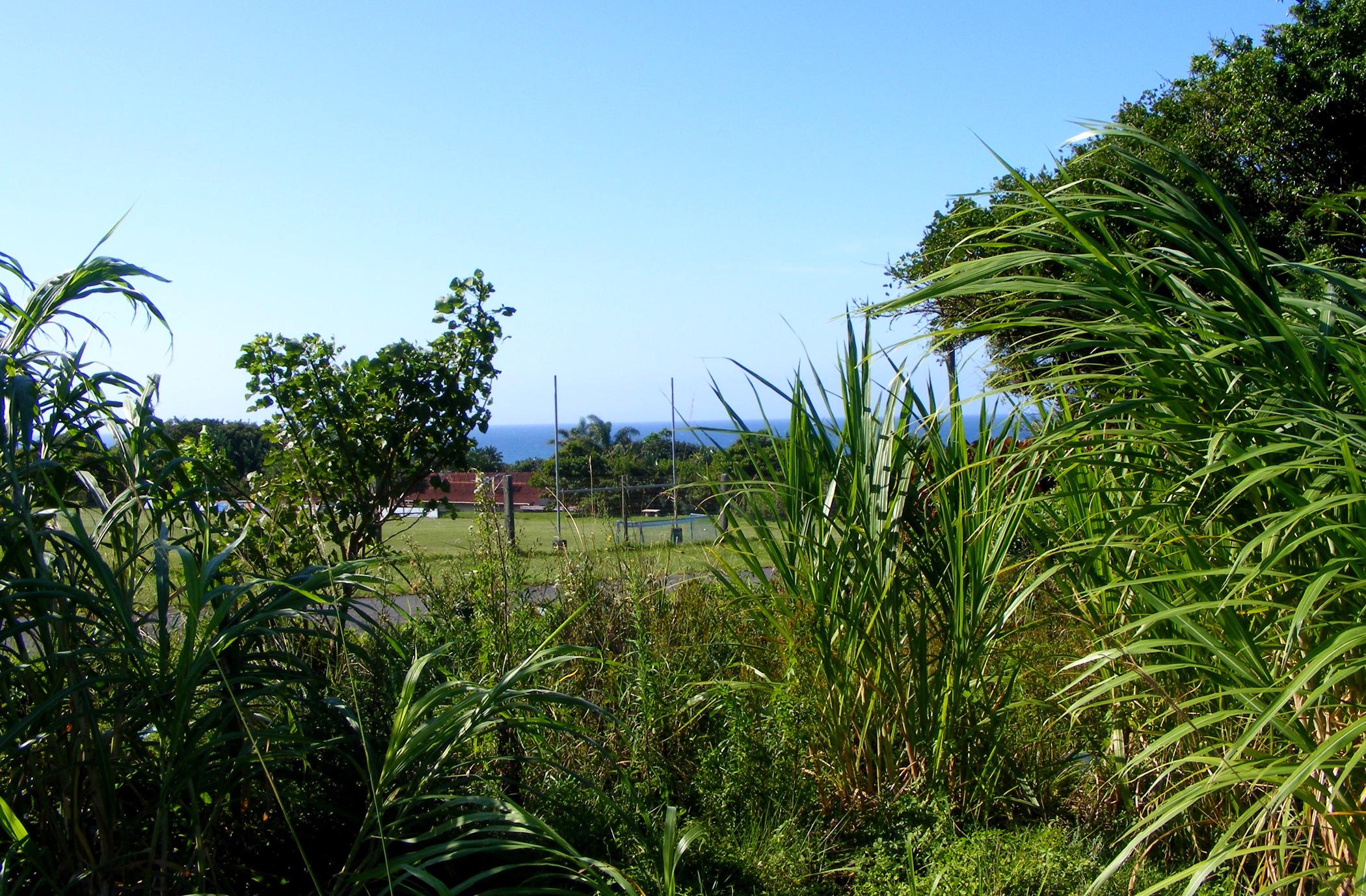 Residential vacant land for sale in Port Edward - 1PD1435436