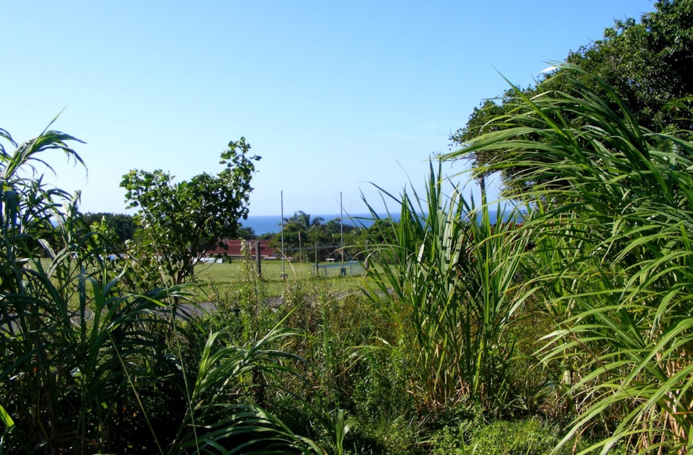 Residential vacant land for sale in Port Edward - 1PD1435436