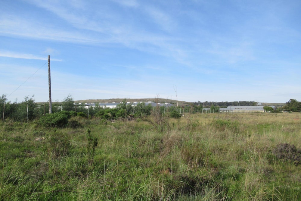 Vacant land sold in Grahamstown (Makhanda) - 1GC1436626 Vacant land sold in Grahamstown (Makhanda) - 1GC1436626