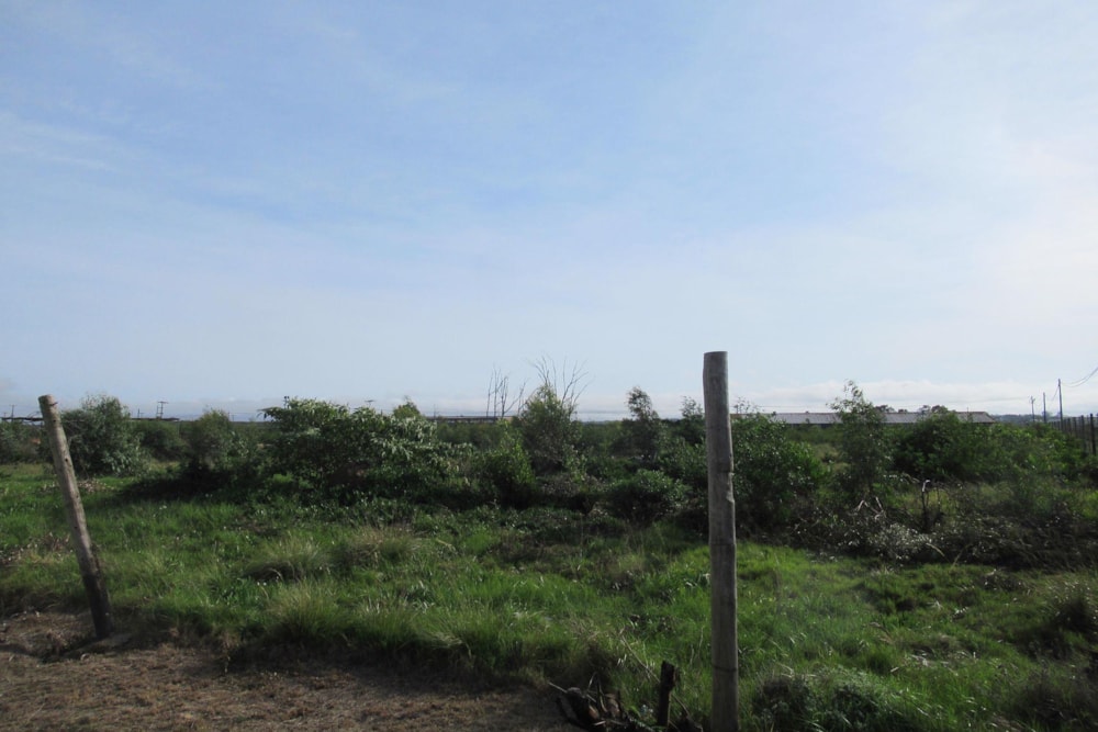 Vacant land sold in Grahamstown (Makhanda) - 1GC1436626 Vacant land sold in Grahamstown (Makhanda) - 1GC1436626