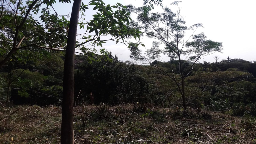 Residential vacant land for sale in Pennington - 1si1437439