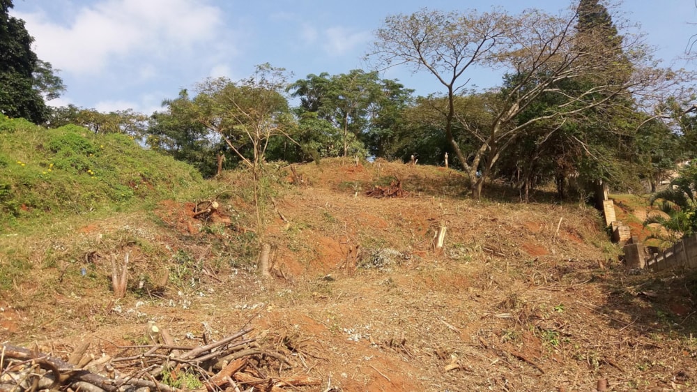 Residential vacant land for sale in Pennington - 1si1437439