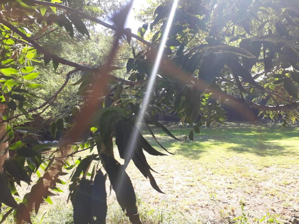 Vacant land for sale in Lynnwood Manor - PT1437493