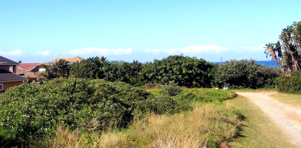 Residential vacant land for sale in Port Edward - 1PD1439690 Residential vacant land for sale in Port Edward - 1PD1439690
