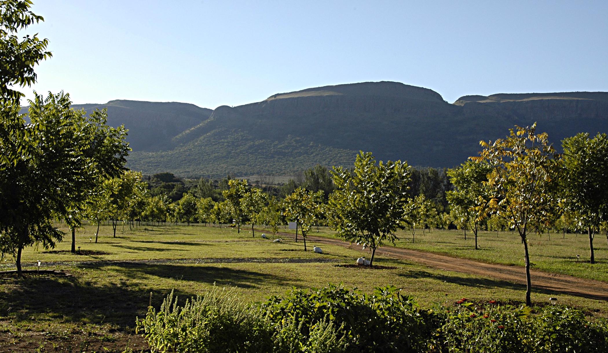 Smallholding for sale in Skeerpoort - 1HR1606652