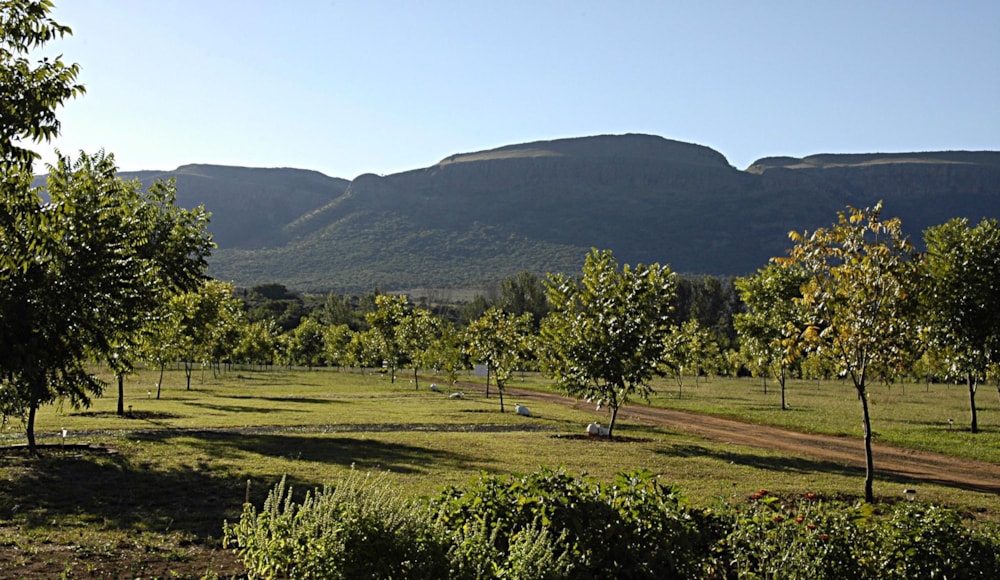 Smallholding for sale in Skeerpoort - 1HR1606652 Smallholding for sale in Skeerpoort - 1HR1606652