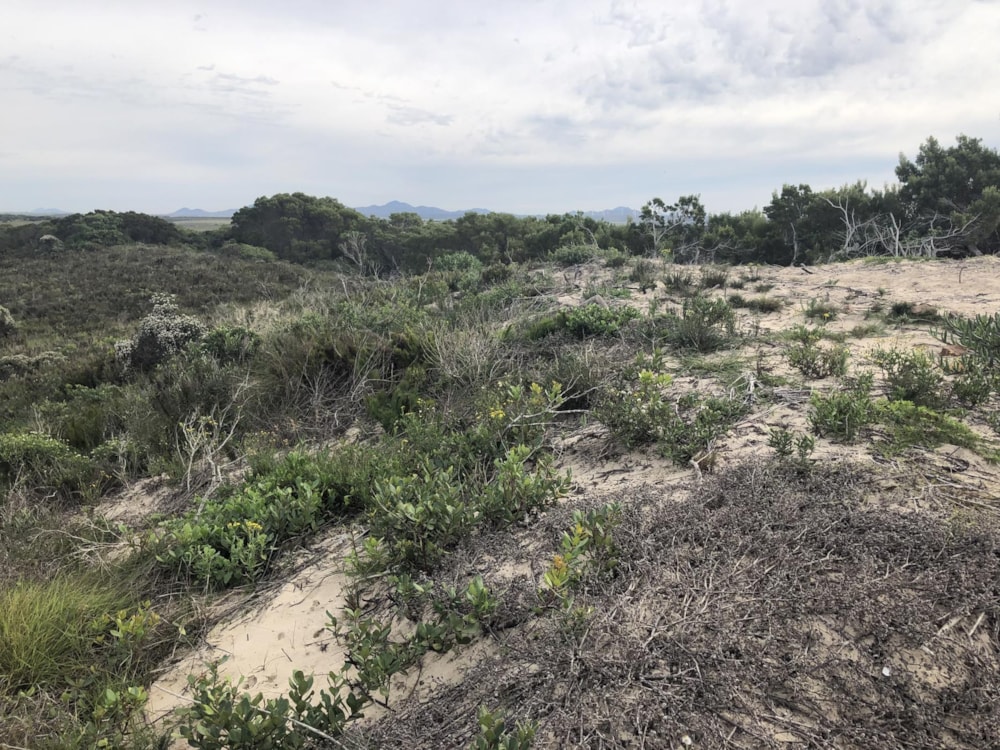 Residential vacant land for sale in Paradise Beach, Jeffreys Bay - 1JF1736831