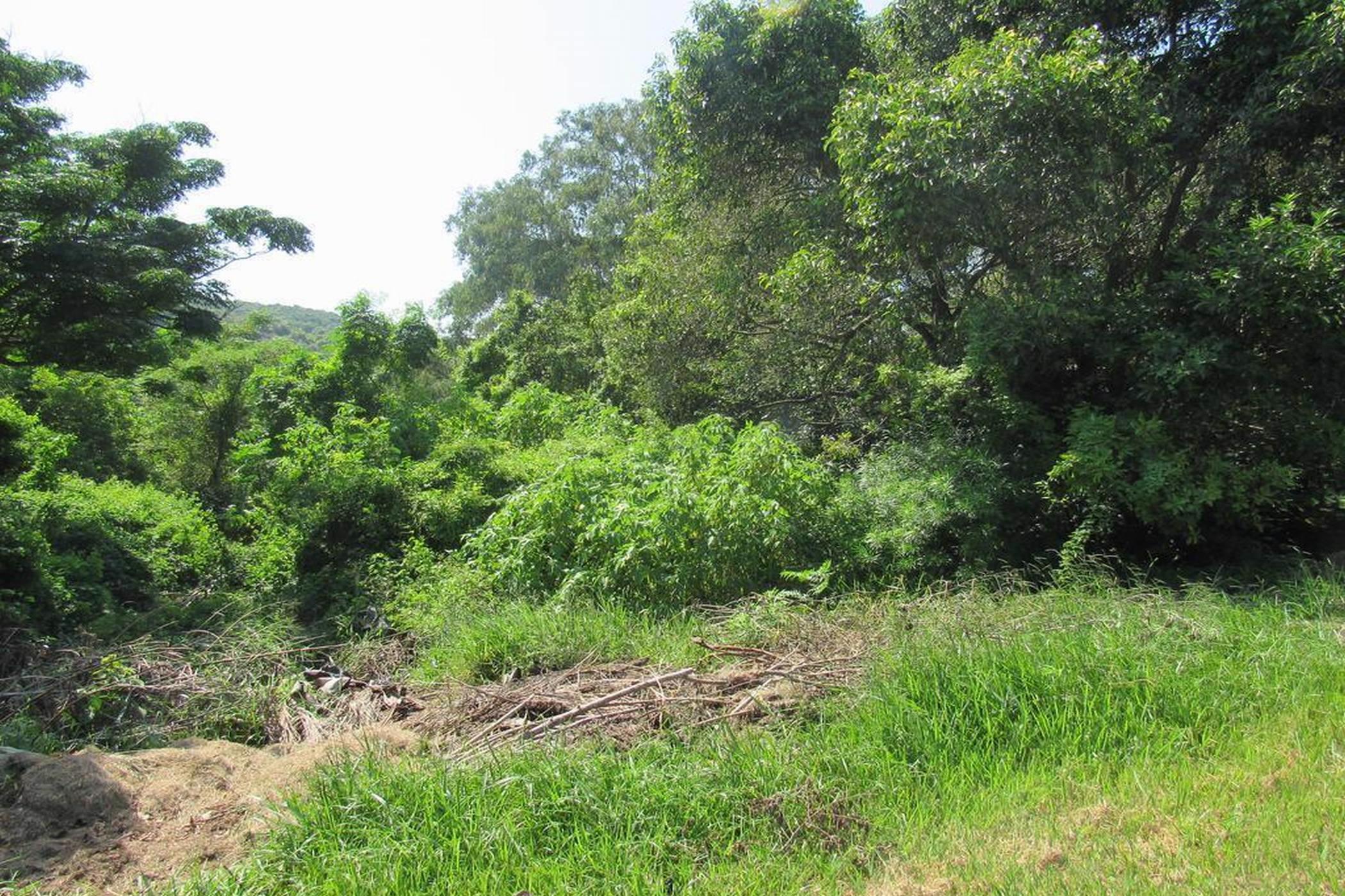 Vacant land for sale in Amanzimtoti - 1WB1442742