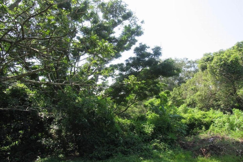 Vacant land for sale in Amanzimtoti - 1WB1442742