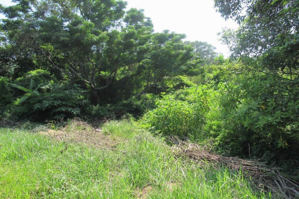 Vacant land for sale in Amanzimtoti - 1WB1442742