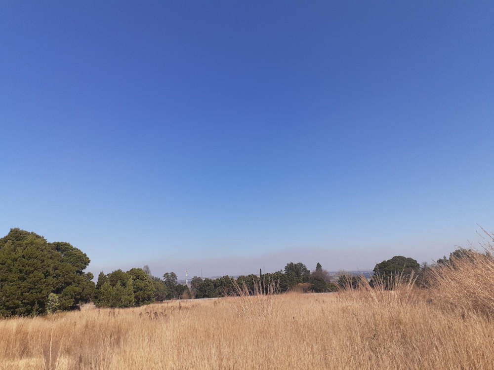 Commercial vacant land let in Reyno Ridge - 1DS1681539 Commercial vacant land let in Reyno Ridge - 1DS1681539