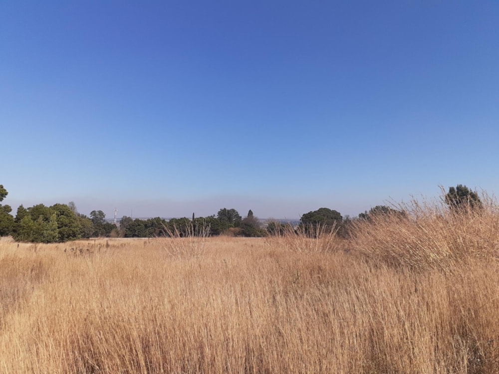 Commercial vacant land let in Reyno Ridge - 1DS1681539 Commercial vacant land let in Reyno Ridge - 1DS1681539