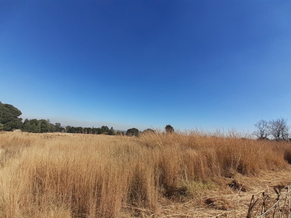 Commercial vacant land let in Reyno Ridge - 1DS1681539 Commercial vacant land let in Reyno Ridge - 1DS1681539