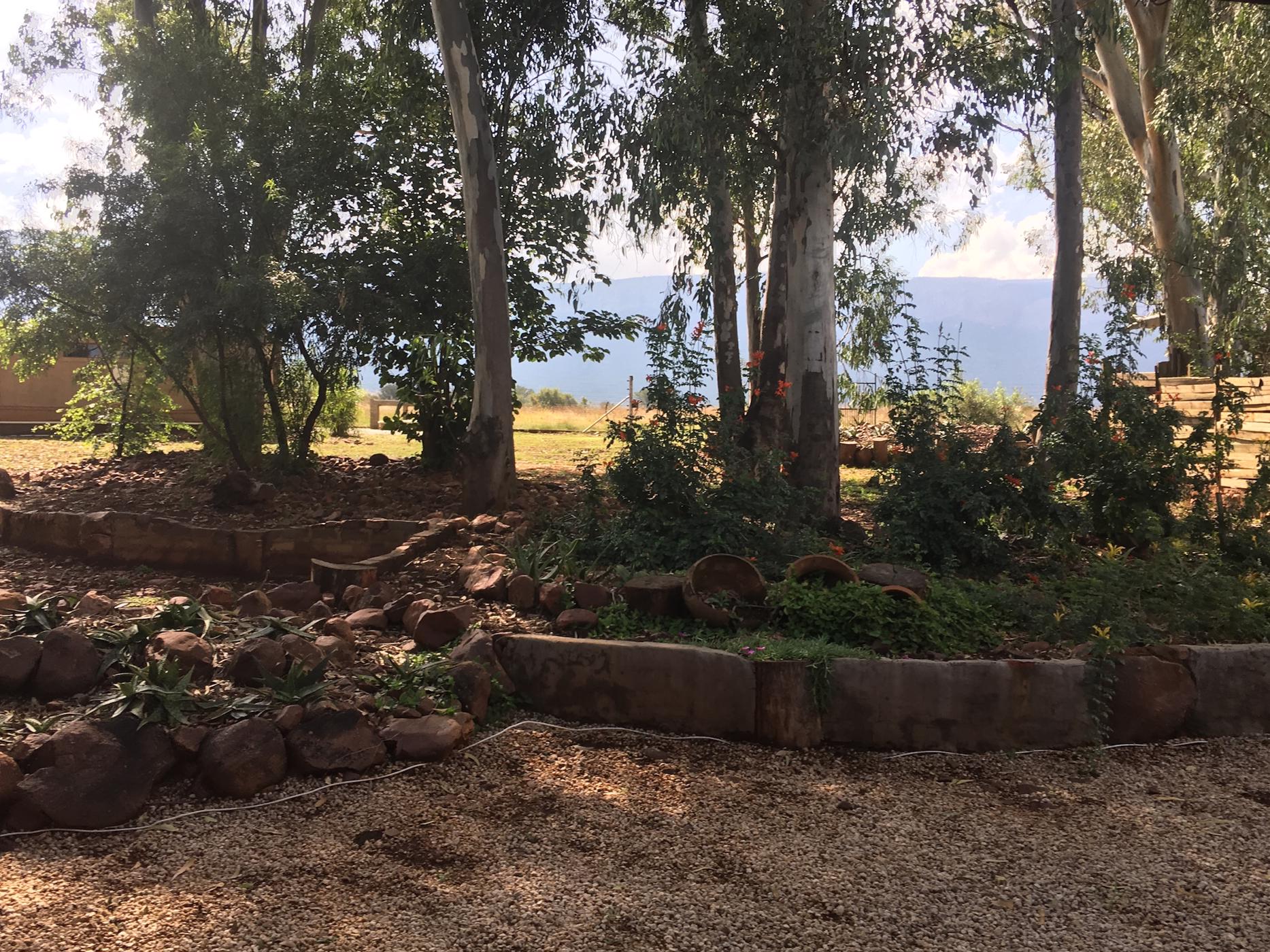 Mixed use farm for sale in Skeerpoort - 1HR1443554