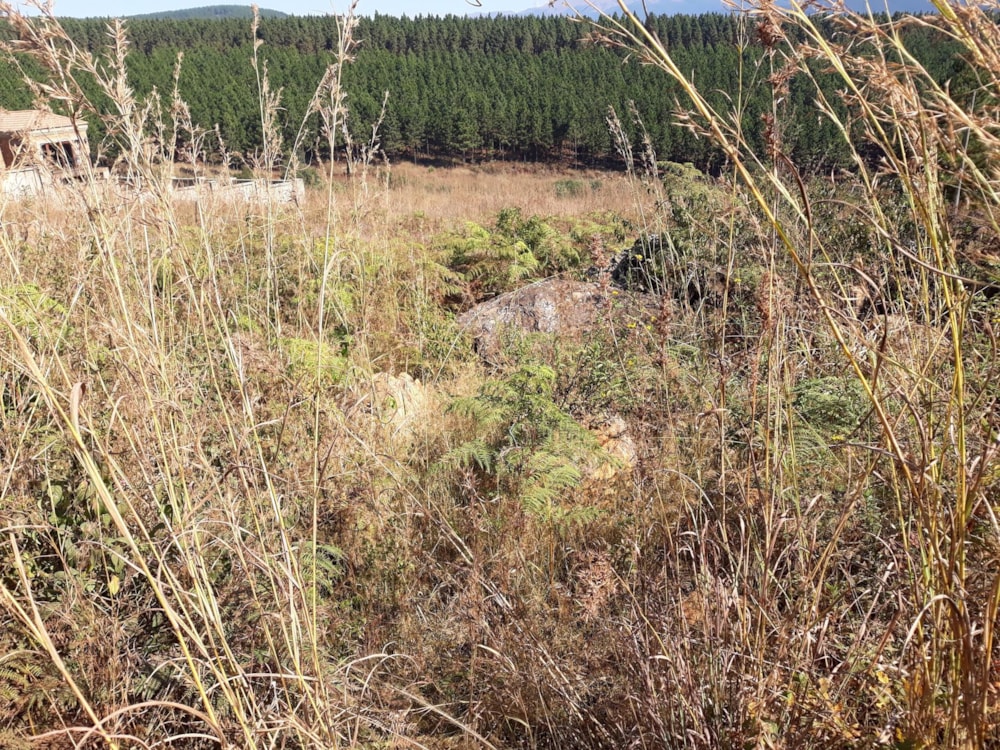 Residential vacant land for sale in Sabie - 1LY1162925