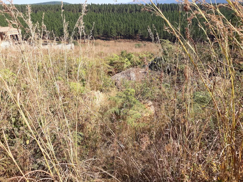 Residential vacant land for sale in Sabie - 1LY1162925 Residential vacant land for sale in Sabie - 1LY1162925
